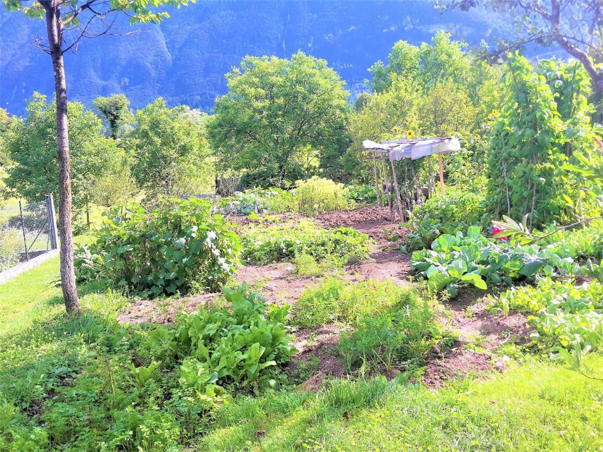 Bovec Holiday House Ngoại thất bức ảnh